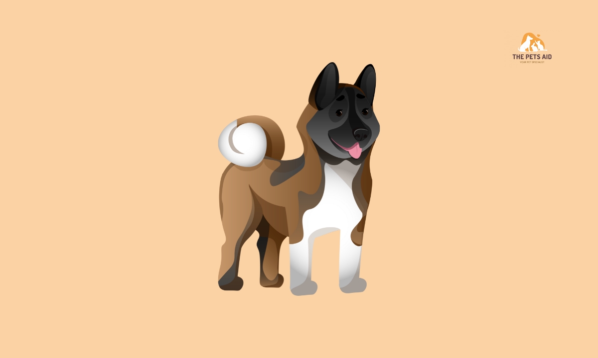 Akita - Can a Akita beat a pitbull?